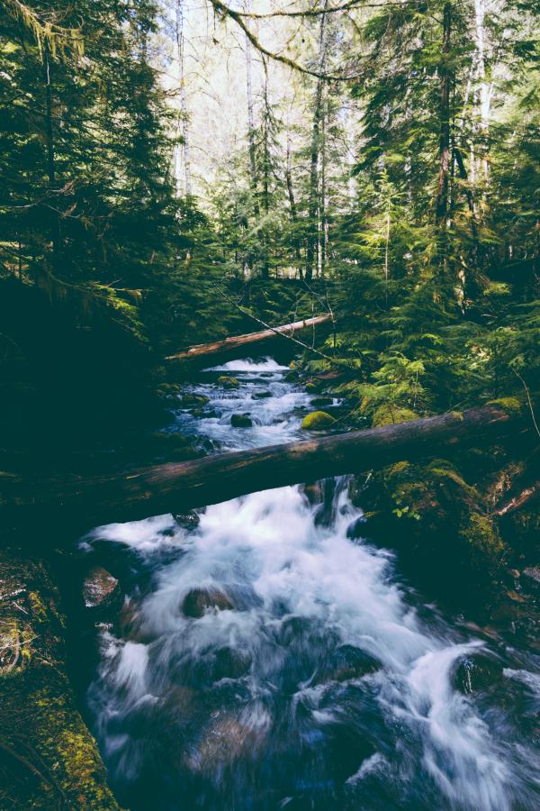beautiful-river-with-strong-current-woods